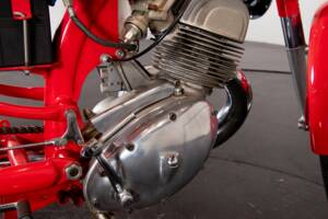 Imagen 13/17 de Benelli Leoncino Bassotto (1954)