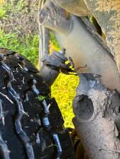 Image 33/53 of Mercedes-Benz 240 GD (SWB) (1982)