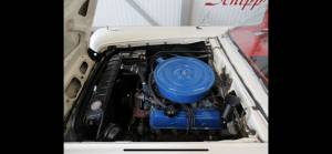 Image 17/31 de Ford Fairlane Skyliner (1959)