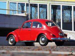 Imagen 1/171 de Volkswagen Käfer 1200 (1965)