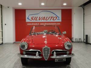 Afbeelding 2/15 van Alfa Romeo Giulietta Spider Veloce (1961)