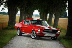 Bild 17/26 von Ford Mustang 289 (1967)