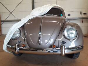 Afbeelding 2/79 van Volkswagen Käfer 1200 Export &quot;Ovali&quot; (1954)