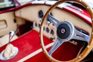 Afbeelding 49/50 van AC Cobra 289 (2000)