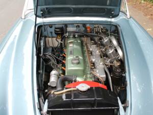 Bild 17/19 von Austin-Healey 3000 Mk I (BN7) (1961)