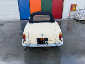 Bild 13/100 von Alfa Romeo Giulia 1600 Spider (1962)