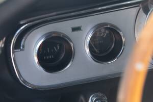 Image 49/54 of Ford Shelby GT 350 (1965)