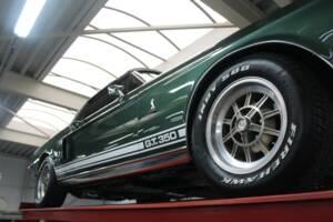 Bild 19/50 von Ford Shelby GT 350 (1968)