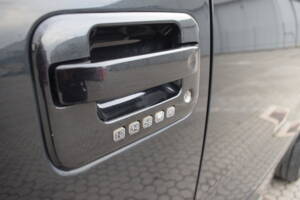 Bild 20/78 von Ford F-150 &quot;Harley-Davidson&quot; (2010)
