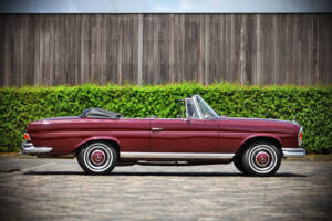 Immagine 6/71 di Mercedes-Benz 220 SE b (1961)