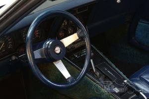 Bild 12/19 von Chevrolet Corvette Sting Ray (1978)