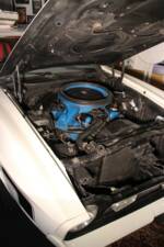 Immagine 39/41 di Ford Mustang Mach 1 (1972)