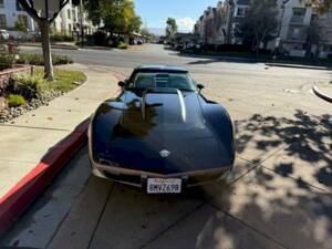 Bild 13/50 von Chevrolet Corvette 25th Anniversary (1978)