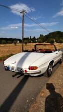 Afbeelding 8/19 van Alfa Romeo 1750 Spider (1969)