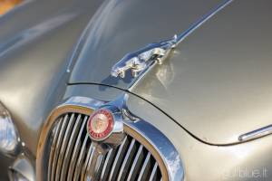 Immagine 14/50 di Jaguar S-Type 3.8 (1966)