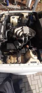 Image 8/55 of BMW 320i (1991)