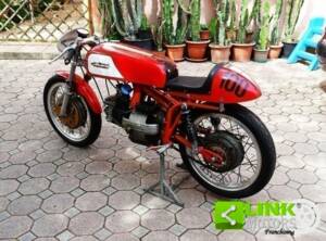 Immagine 8/10 di Aermacchi Harley-Davidson DUMMY (1965)