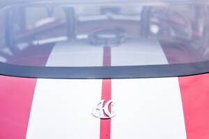 Afbeelding 27/50 van AC Cobra 289 (2000)