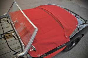 Immagine 62/68 di Austin-Healey 3000 Mk I (BT7) (1959)