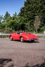 Bild 14/39 von Jowett Jupiter (1952)