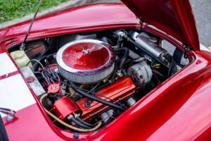 Afbeelding 6/50 van AC Cobra 289 (2000)