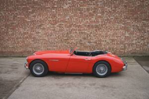 Bild 6/24 von Austin-Healey 3000 Mk II (BT7) (1961)