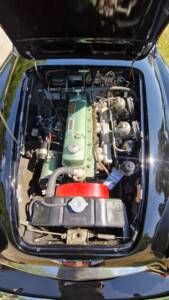 Bild 9/14 von Austin-Healey 3000 Mk I (BT7) (1961)