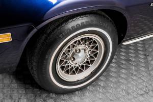 Image 30/50 of Chevrolet Camaro (1979)