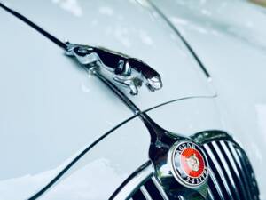 Bild 19/34 von Jaguar Mk II 2.4 (1961)