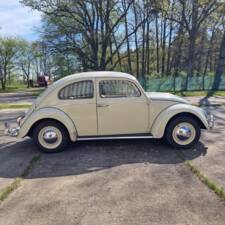 Bild 8/140 von Volkswagen Käfer 1200 Export "Dickholmer" (1963)