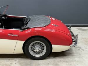 Bild 20/50 von Austin-Healey 3000 Mk I (BT7) (1961)