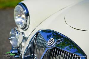 Bild 20/43 von MG MGA 1500 (1956)