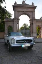 Bild 94/106 von Mercedes-Benz 280 SL (1969)