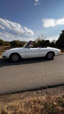 Afbeelding 11/19 van Alfa Romeo 1750 Spider (1969)