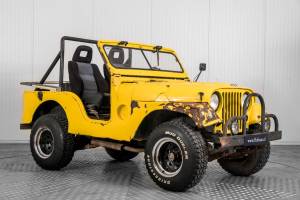 Bild 7/50 von Jeep Willys-Overland (1957)
