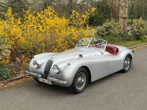 Image 21/50 of Jaguar XK 120 OTS (1953)