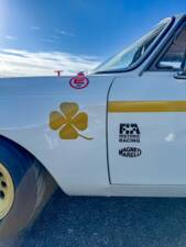 Image 24/99 of Alfa Romeo Giulia 1750 GT Am (1971)