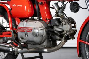 Immagine 12/50 di Aermacchi Ala Verde (1964)