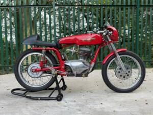 Bild 1/44 von Gilera 175 Extra Rossa (1958)