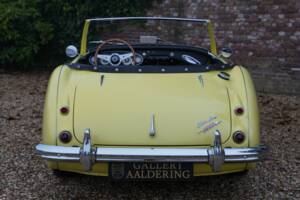 Bild 42/50 von Austin-Healey 3000 Mk I (BN7) (1960)