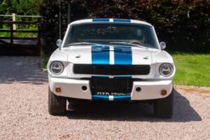 Image 5/54 of Ford Shelby GT 350 (1965)