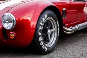 Afbeelding 39/50 van AC Cobra 289 (2000)