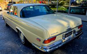 Immagine 4/16 di Mercedes-Benz 280 SE 3,5 (1970)