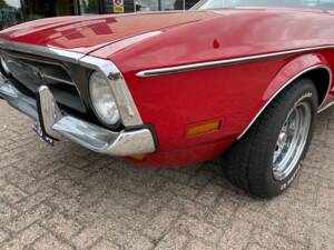 Bild 42/101 von Ford Mustang 250 (1972)