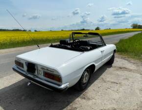 Bild 15/29 von Alfa Romeo Spider 1300 Junior (1971)