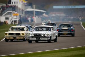 Image 18/19 of Ford Mustang Notchback (1965)
