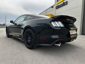 Image 12/44 of Ford Shelby GT/H (2017)