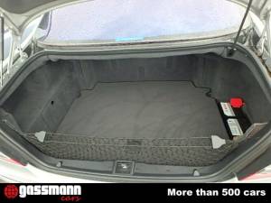 Bild 8/9 von Mercedes-Benz S 600 L (2005)