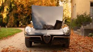 Image 51/51 of Alfa Romeo 1600 Spider Duetto (1966)