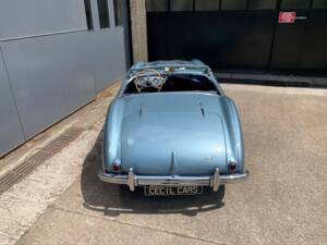 Bild 10/14 von Austin-Healey 100&#x2F;4 (BN1) (1954)